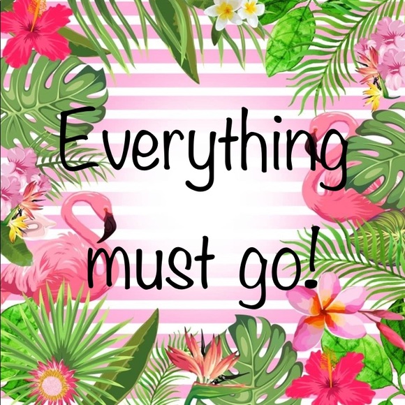 Posh Ambassador. I accept reasonable offers! Smoke free home but not pet free. - Picture 3 of 5